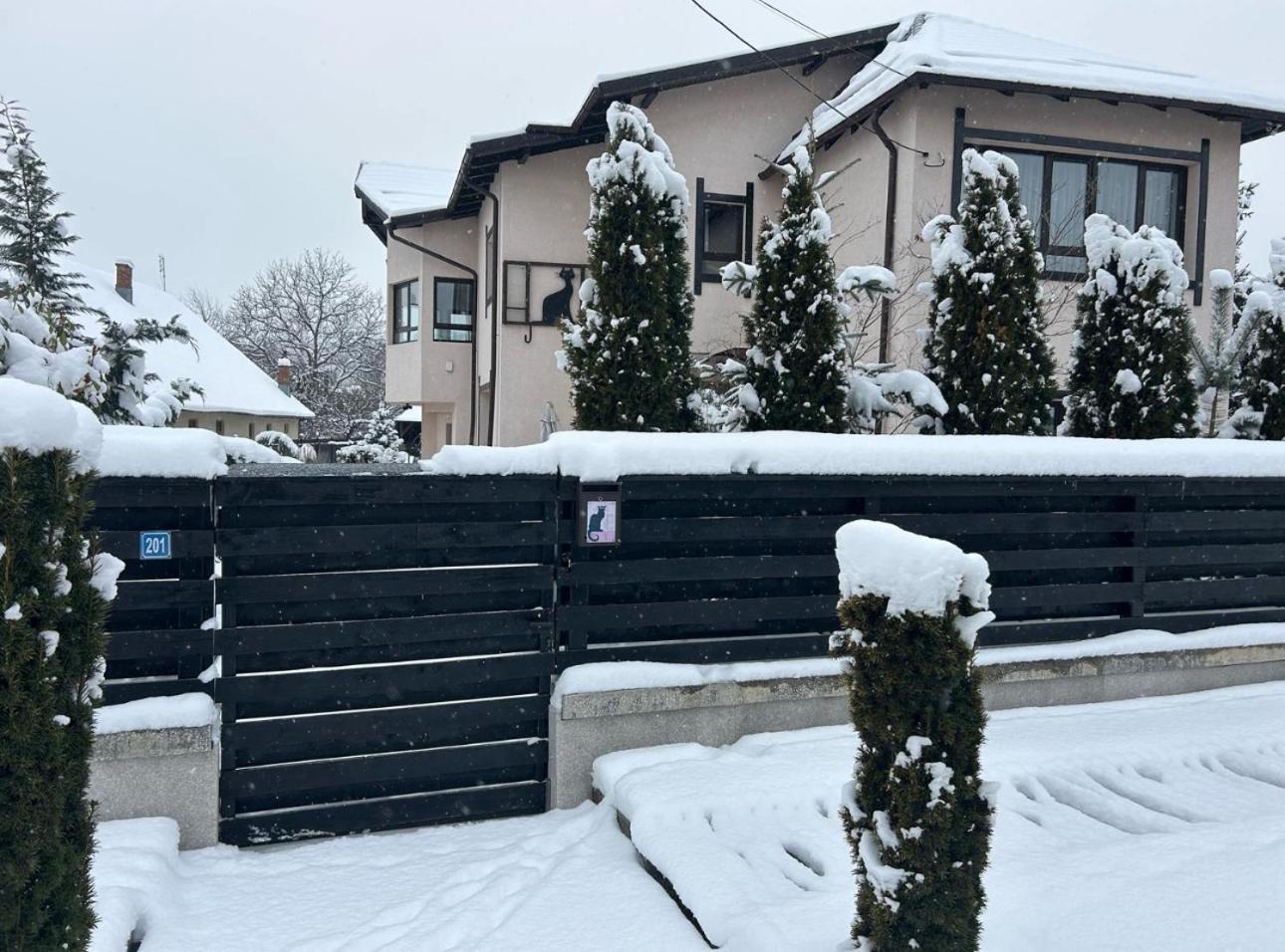 Hotel Casa Pisica Noastra Breaza  Exteriér fotografie